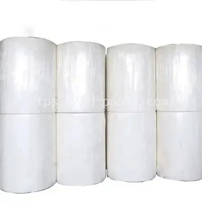 चेहरे का ऊतक पैरेंट रोल